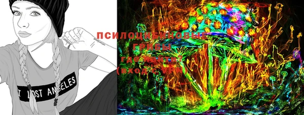 спиды Белокуриха